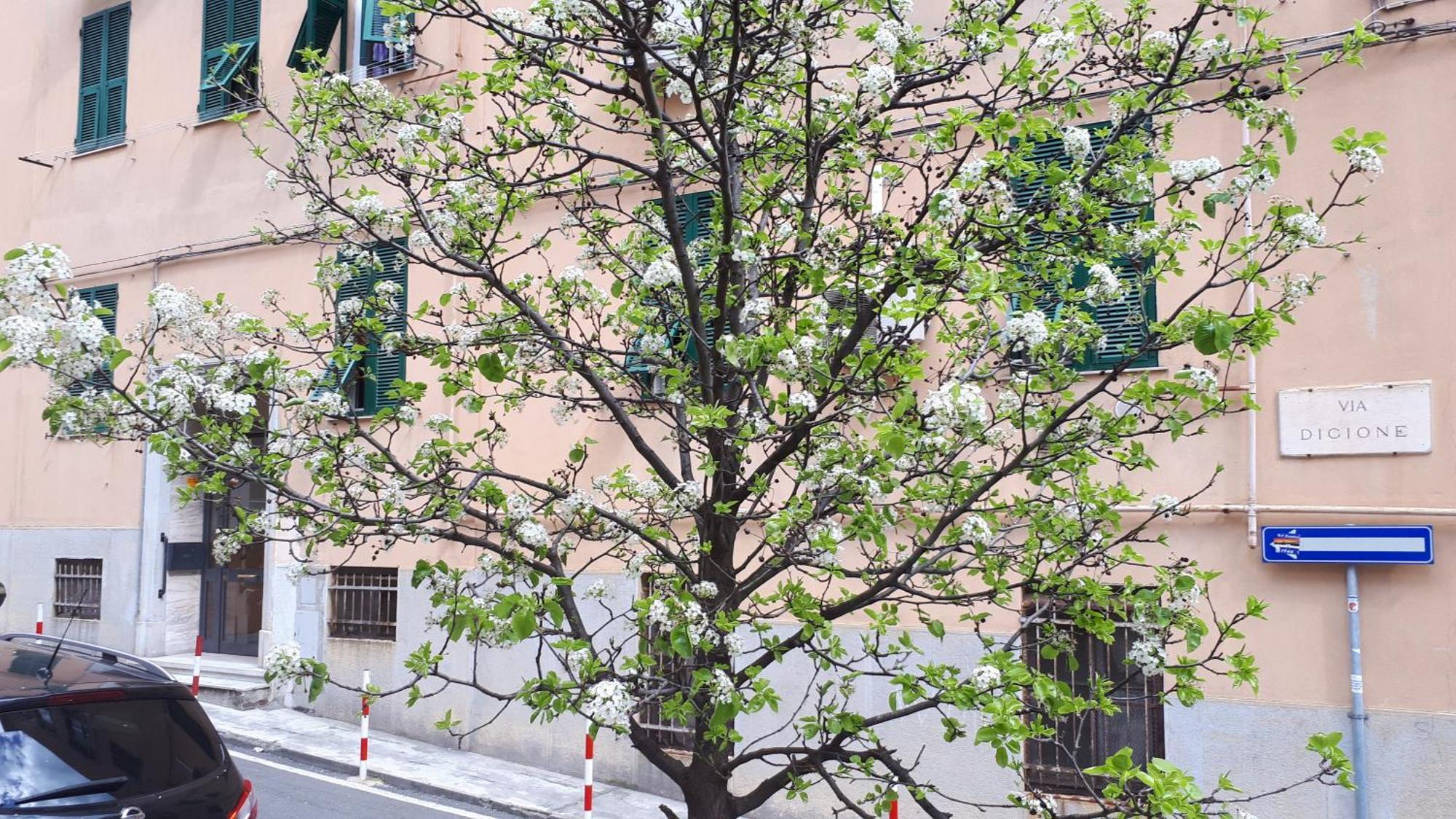 Ca'Saetta Bnb Holiday Home - Park & Go To Genoa Aquarium And Old Town Kültér fotó